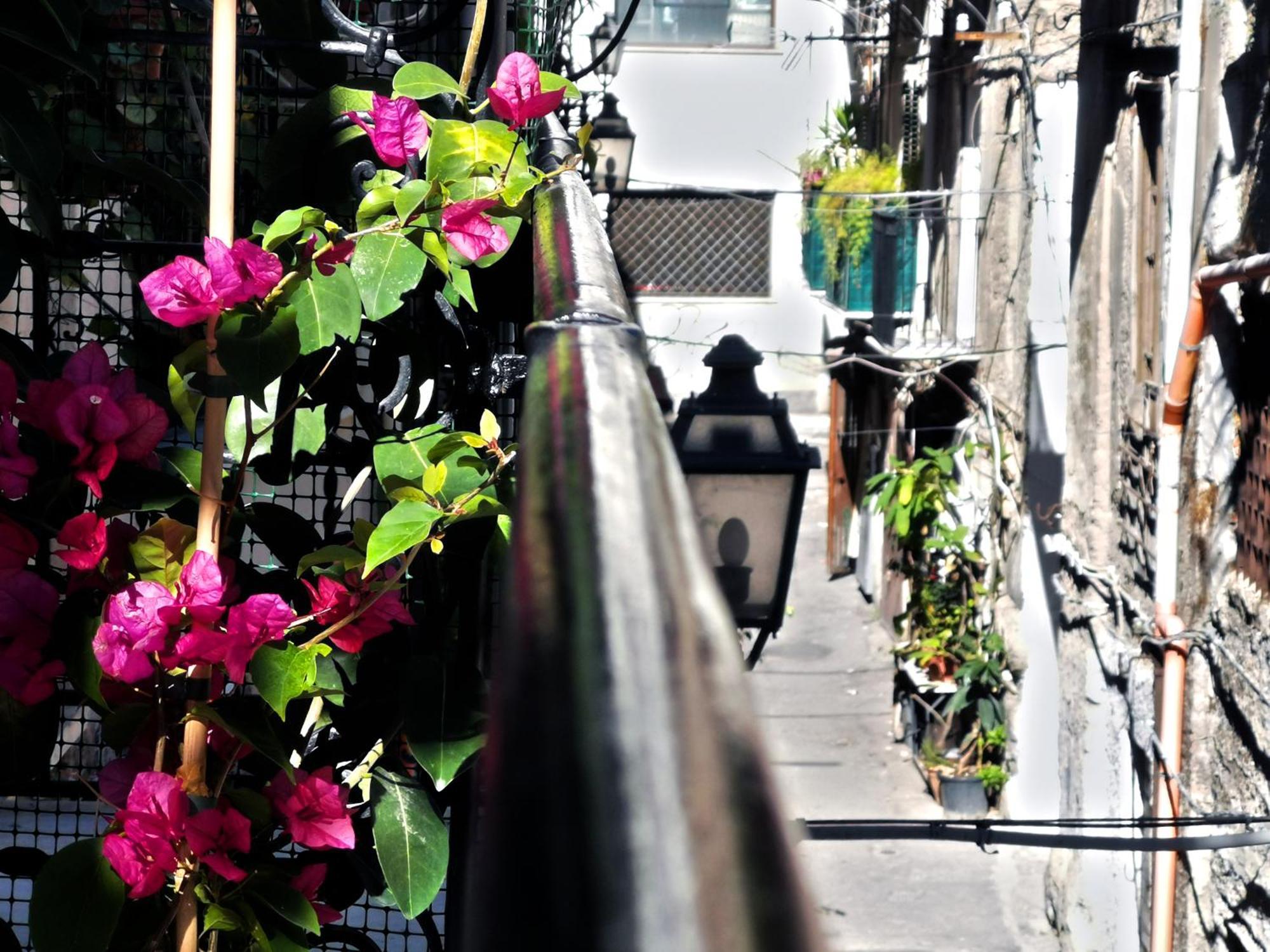 Terra D'Amuri Palerme Extérieur photo